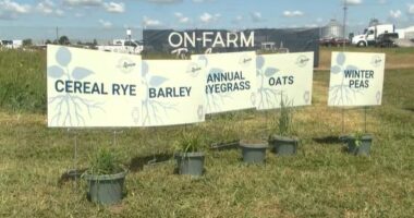 From the Farm: Cover crop demonstrations at the Farm Progress Show