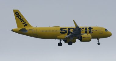 Fury as Spirit Airlines sends a passenger jet THROUGH Hurricane Erin