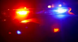 GCPD: Man arrested after shooting at officers multiple times at Brunswick motel