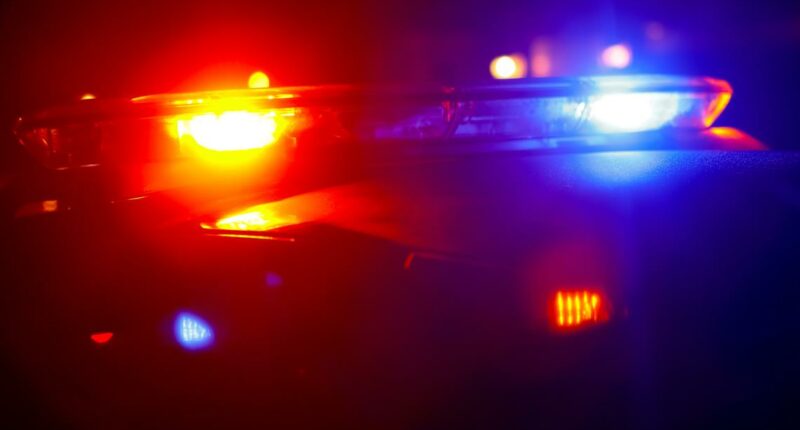 GCPD: Man arrested after shooting at officers multiple times at Brunswick motel