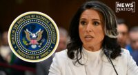 Gabbard to slash intel office staff by 40% in $700M budget cut