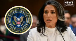 Gabbard to slash intel office staff by 40% in $700M budget cut