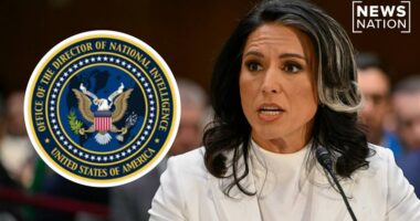 Gabbard to slash intel office staff by 40% in $700M budget cut
