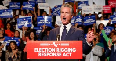 Gavin Newsom holds mirror to Maga by trolling Trump