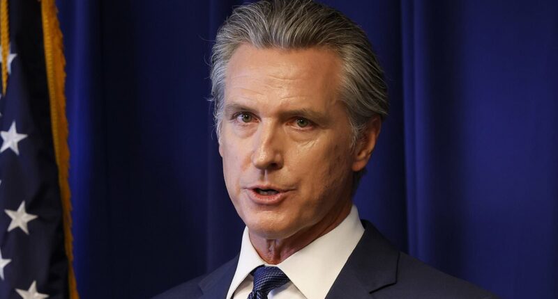 Gavin Newsom joins 'war' against Texas in Democratic power grab