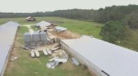 Georgia pushes for federal aid nearly one year after Hurricane Helene