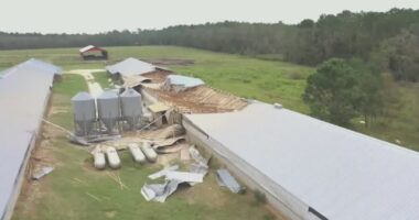 Georgia pushes for federal aid nearly one year after Hurricane Helene