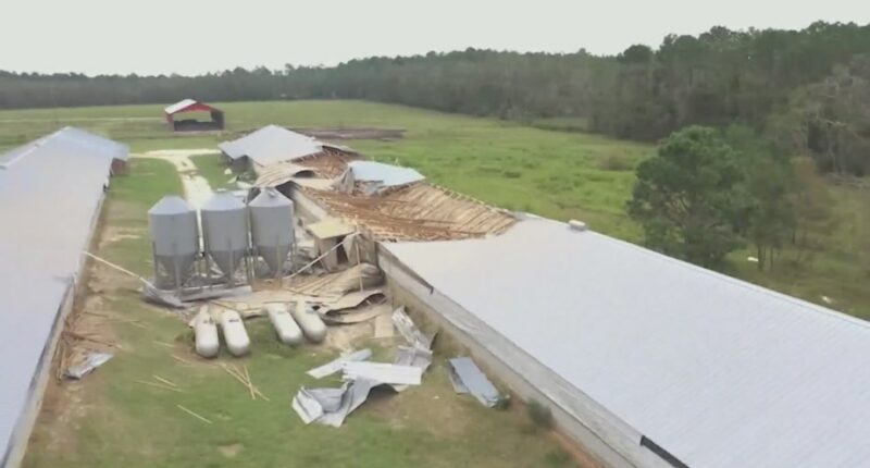 Georgia pushes for federal aid nearly one year after Hurricane Helene