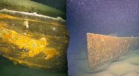 German researchers discover dozens of shipwrecks including possible WWII steamer lost in air raid