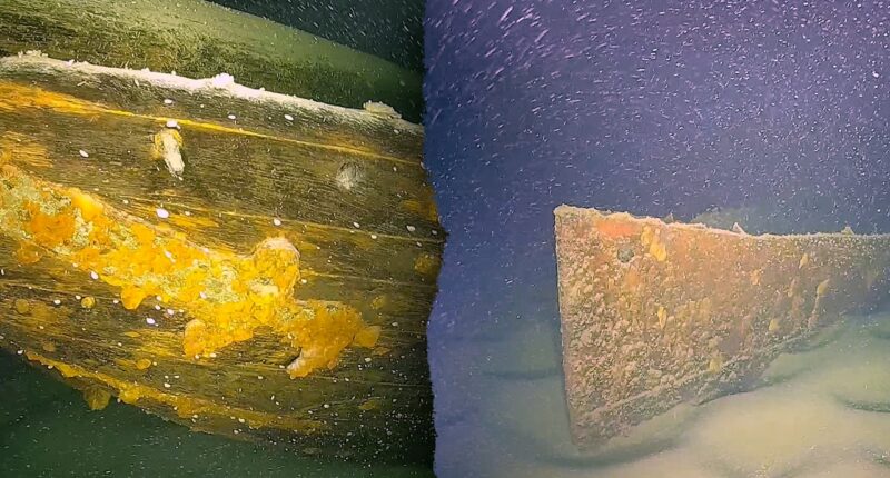 German researchers discover dozens of shipwrecks including possible WWII steamer lost in air raid