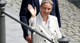 Germany's AfD is now the most popular party in the country