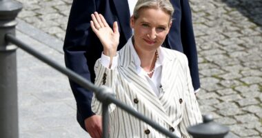 Germany's AfD is now the most popular party in the country