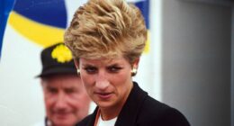 Ghislaine Maxwell suggests Diana was 'set up as a date' for Epstein