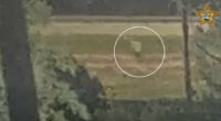 Giovanni Pelletier: Sheriff’s Office Releases Surveillance Video of Teen’s Last Movements