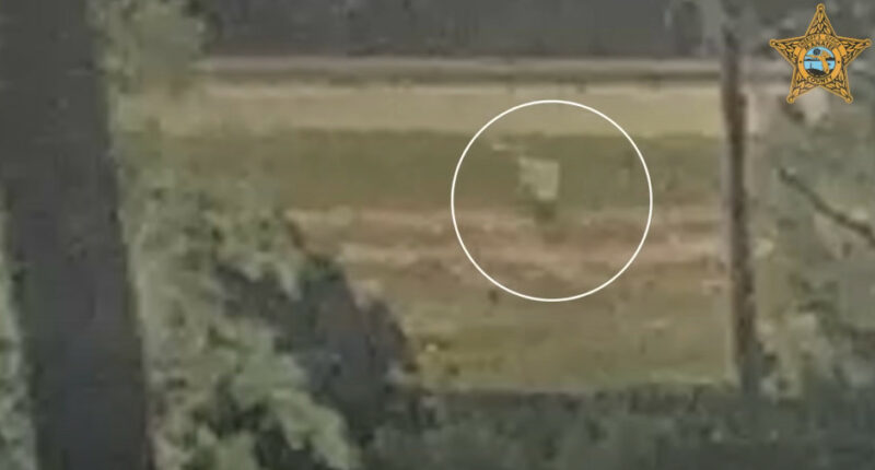 Giovanni Pelletier: Sheriff’s Office Releases Surveillance Video of Teen’s Last Movements