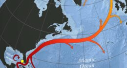 Global emergency as key Atlantic current is on the brink of collapse