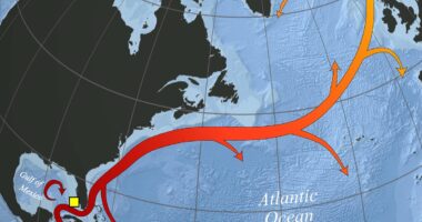Global emergency as key Atlantic current is on the brink of collapse