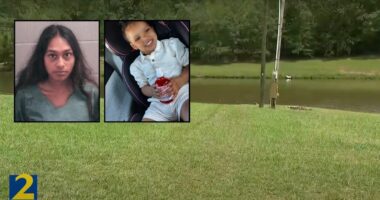 Godmother stood on car while girl was underwater: Cops