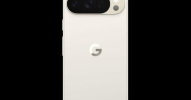 Google's Pixel 10 phones raises the ante on artificial intelligence