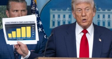 Gotcha: Another Nail Just Got Hammered in Bogus 'D.C. Crime Is Down!' Talking Point