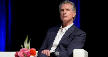 Gov. Gavin Newsom has final say on Menendez brothers' freedom