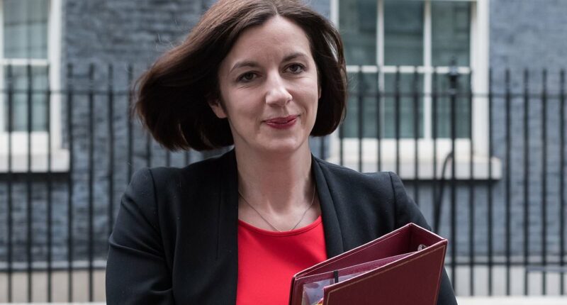 Governments 'failed white working-class students: Bridget Phillipson