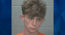 Grandson Tells Cops ‘Grim Reaper’ Told Him to Kill ‘Grammie’ Before Hatchet Attack