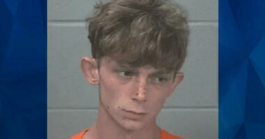 Grandson Tells Cops ‘Grim Reaper’ Told Him to Kill ‘Grammie’ Before Hatchet Attack