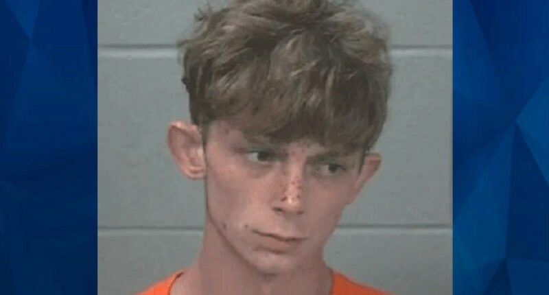 Grandson Tells Cops ‘Grim Reaper’ Told Him to Kill ‘Grammie’ Before Hatchet Attack