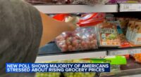 Grocery prices 2025: Shoppers at South Loop, Chicago grocery store and more frustrated with increasing costs; expert weighs in