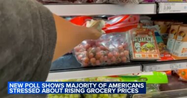 Grocery prices 2025: Shoppers at South Loop, Chicago grocery store and more frustrated with increasing costs; expert weighs in