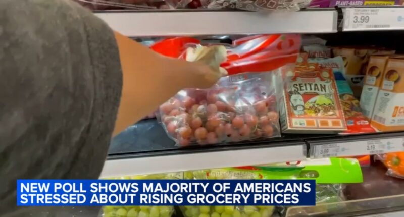 Grocery prices 2025: Shoppers at South Loop, Chicago grocery store and more frustrated with increasing costs; expert weighs in