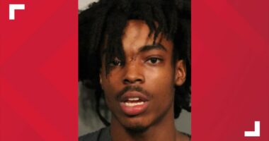 Guilty plea and 20-year sentence in Febres murder case