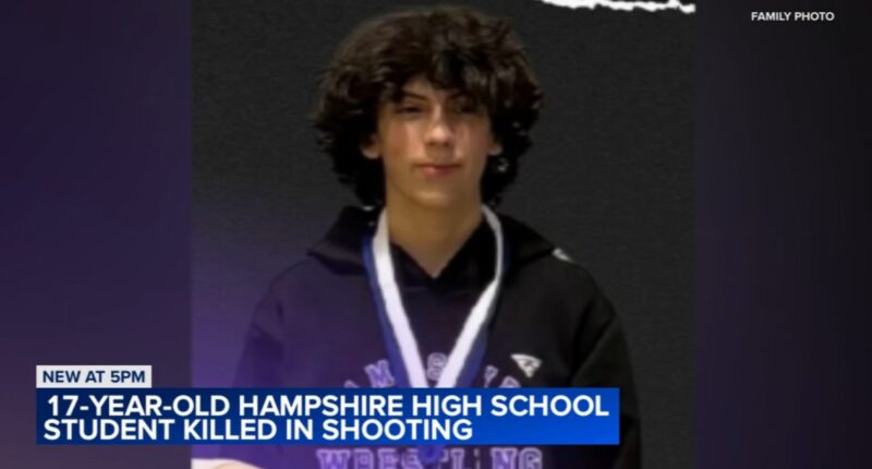 Hampshire shooting: Deegan Kirschke identified as teen boy shot, killed on High Street; Keyshaun D. Davis charged, officials say