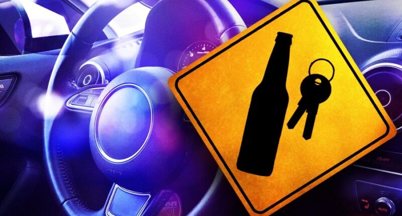 Hampton County law enforcement to ramp up DUI patrols