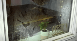 Handprints on a window.