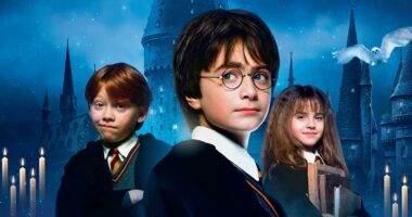 Harry Potter director has scathing reaction to controversial TV remake