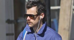 Harry Styles' staggering comeback plans revealed: JENNIFER RUBY