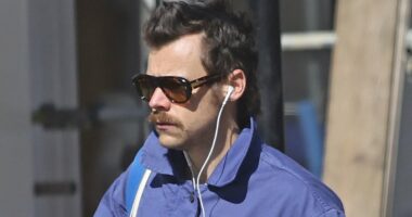 Harry Styles' staggering comeback plans revealed: JENNIFER RUBY