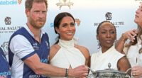 Harry's late-night calls over Sentebale charity crisis. Devastated Prince's rants of 'hostile takeover' of 'life's work' and the new British target of his rage revealed by REBECCA ENGLISH