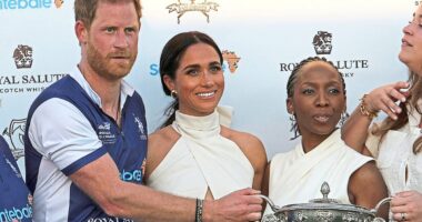 Harry's late-night calls over Sentebale charity crisis. Devastated Prince's rants of 'hostile takeover' of 'life's work' and the new British target of his rage revealed by REBECCA ENGLISH