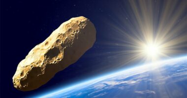 Harvard professor claims 'comet' heading to us is alien 'mothership'