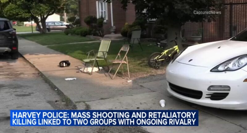 Harvey shooting: Mass shooting on Des Plaines, retaliatory killing on Calumet linked to groups with violent history, police say