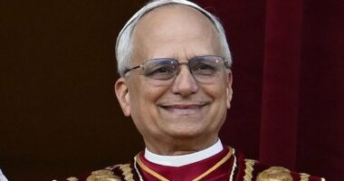 Heavenly housemate! Pope moves in to palatial Vatican flat with pals