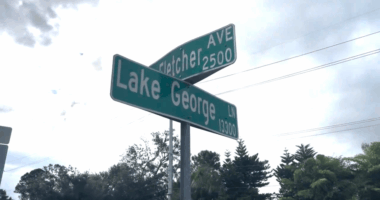 Hillsborough County parent voices concerns over bus stop off busy 5-lane road