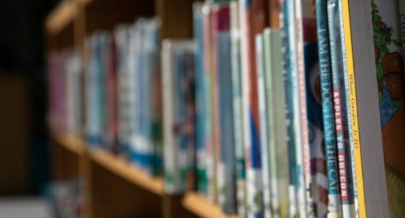 Hillsborough district leaders talk back to school and book bans