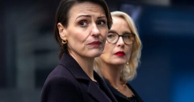 Hostage review: Woke Netflix thriller is over-egged nonsense