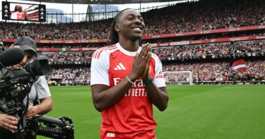 How Eberechi Eze stacks up against Arsenal's forwards as stats boffins reveal why the Gunners hijacked Tottenham's £68m move - so, can he hit the ground running for Mikel Arteta's injury-hit contenders?