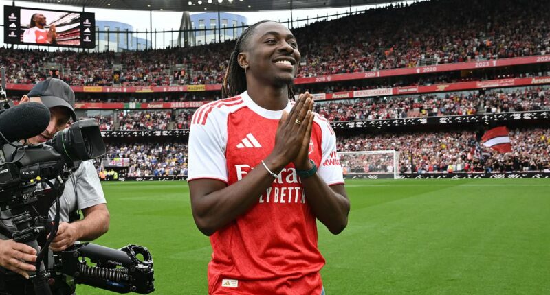 How Eberechi Eze stacks up against Arsenal's forwards as stats boffins reveal why the Gunners hijacked Tottenham's £68m move - so, can he hit the ground running for Mikel Arteta's injury-hit contenders?