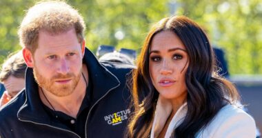 How Prince Harry and Meghan Markle's 'addiction to drama' led to some 'self-inflicted' wounds, royal author claims